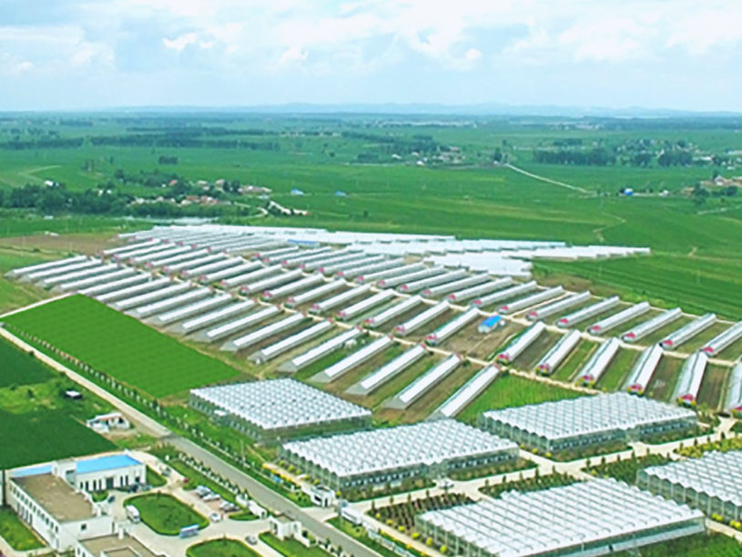 365速发国际(中国)官方网站