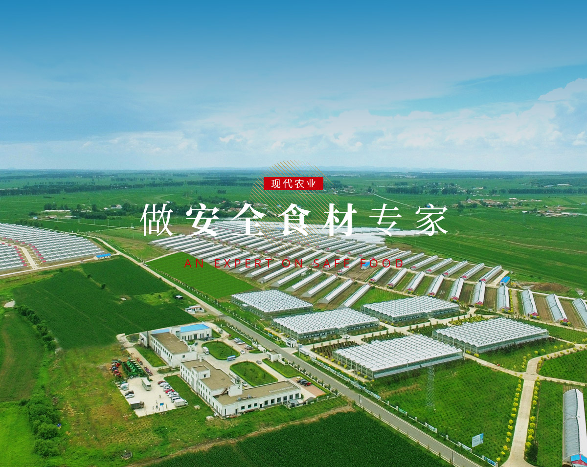 365速发国际(中国)官方网站