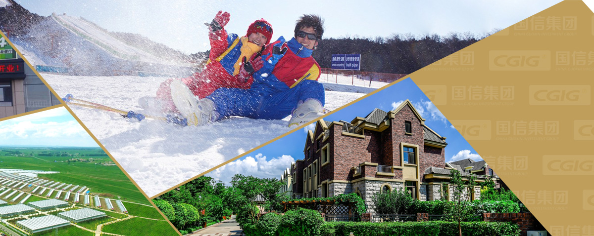 365速发国际(中国)官方网站