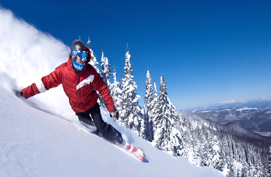 365速发国际(中国)官方网站