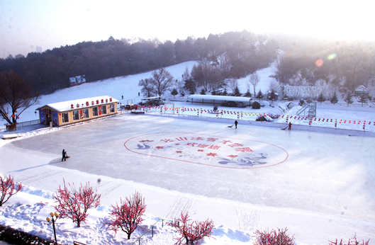 365速发国际(中国)官方网站