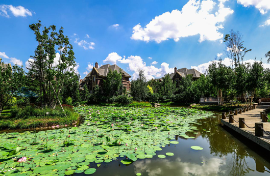 365速发国际(中国)官方网站