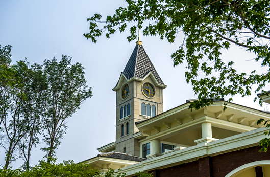 365速发国际(中国)官方网站