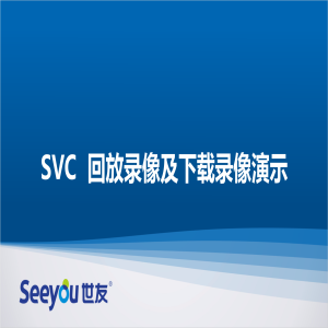 SVC回放录像及下载录像演示