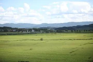 365速发国际(中国)官方网站