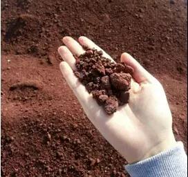 365速发国际(中国)官方网站